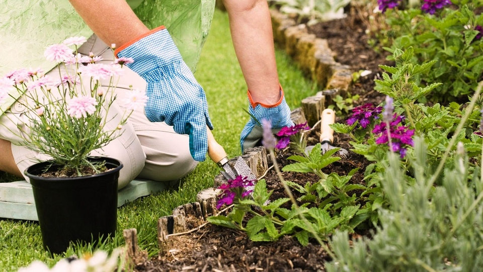 Работа на клумбе