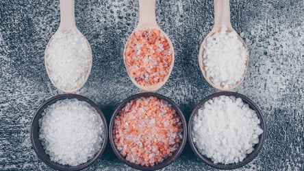 Чим можна замінити сіль — альтернативи для здорового харчування - 285x160