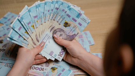 Зимова підтримка у 6 500 грн — до якого числа ще можна оформити - 290x166