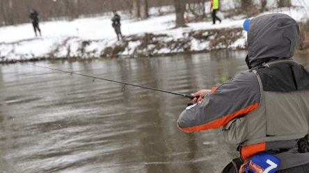 7 видів риби, які у 2026 році можна ловити без обмежень — перелік - 285x160