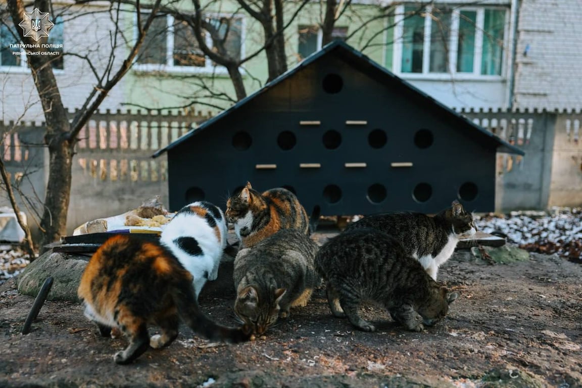 Порятунок чотирилапих у холоди — як копи допомагають пухнастикам - фото 2