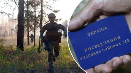 Льготы на обучение для участников боевых действий и их детей: что гарантирует государство - 285x160