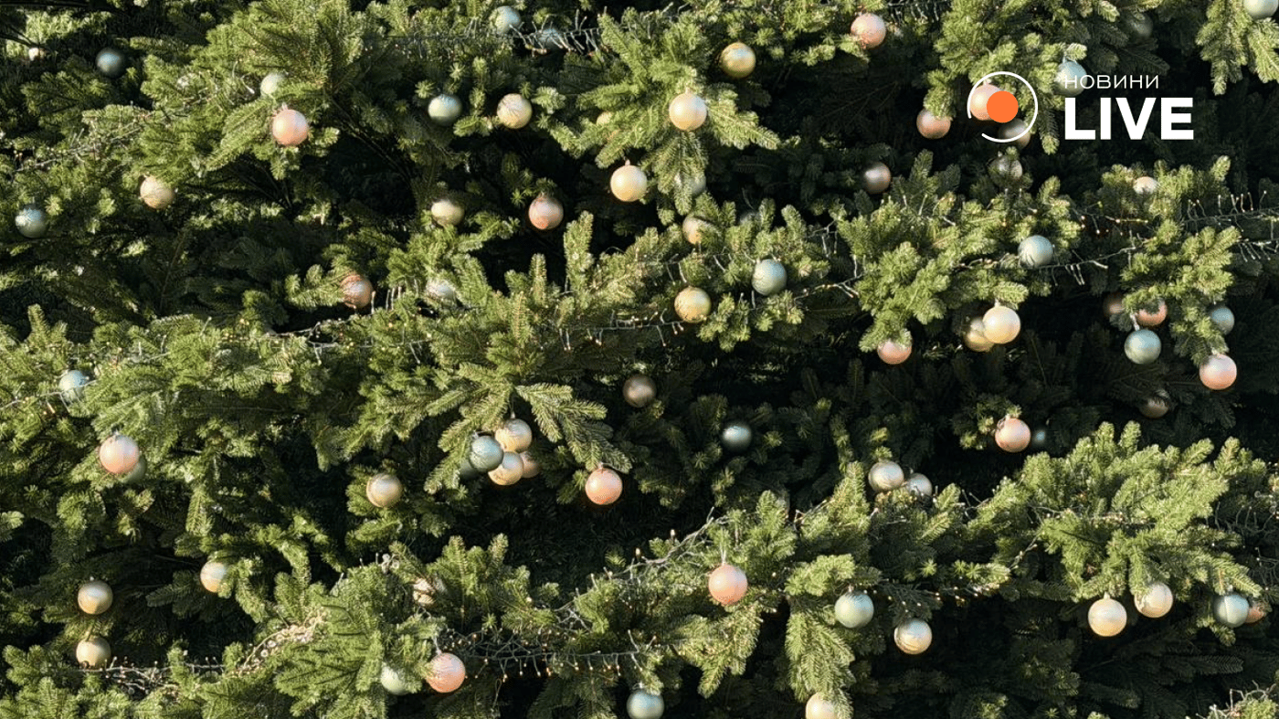 Ялинка у Києві фото