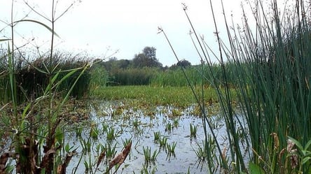 На Одесчине вернули 2 пруда громаде — детали дела - 285x160