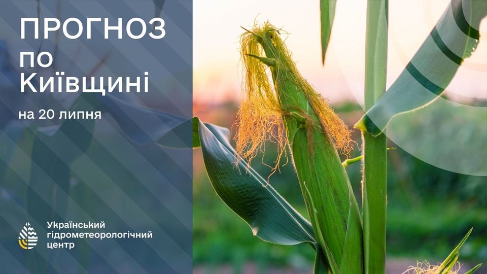 Прогноз погоди на 20 липня. Фото: Укргідрометцентр