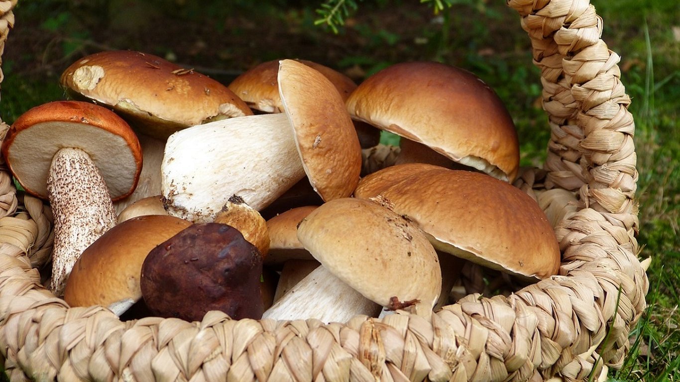 Правильний маринад для білих грибів — відео рецепт