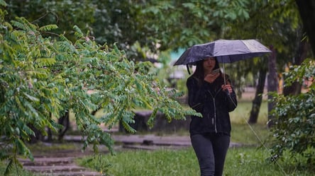 Ожидайте дожди и грозы — Диденко предупредила об ухудшении погоды - 285x160