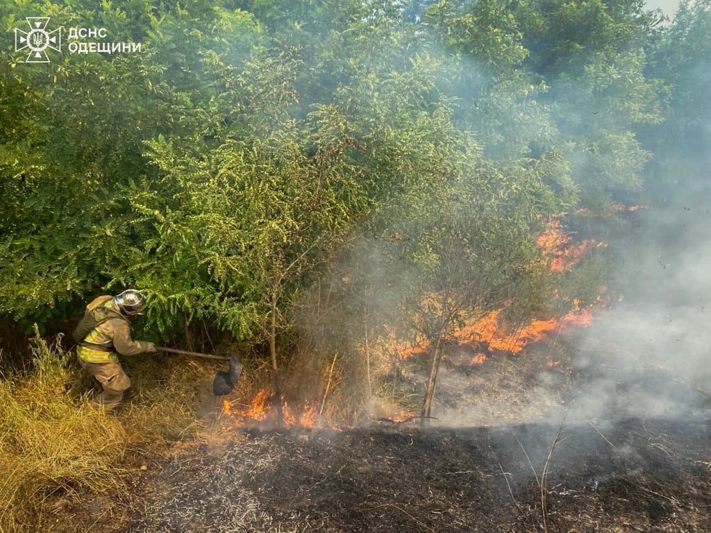 Горить суха трава на Одещині
