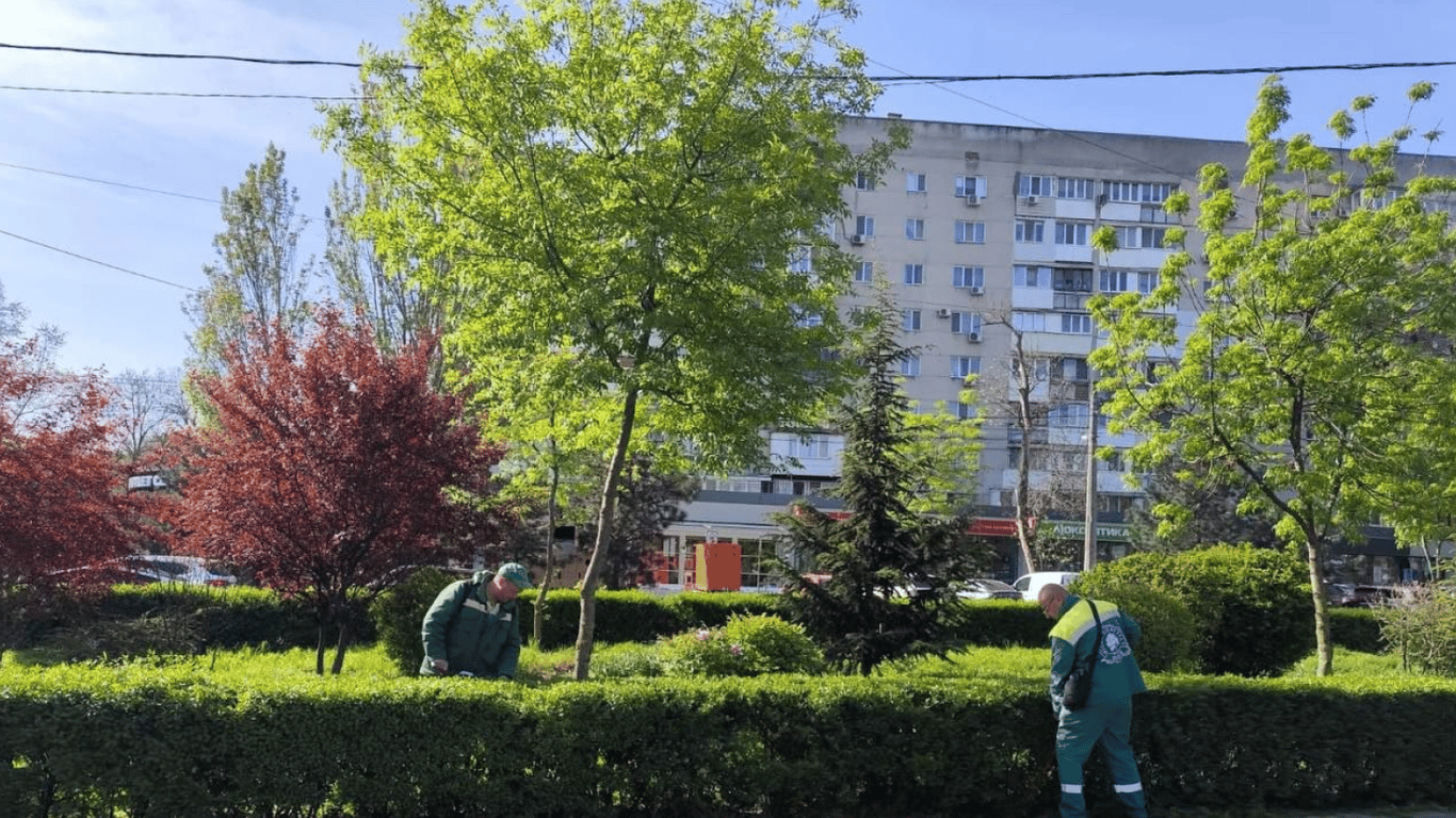 В Одессе пересчитают деревья и кусты: стоимость инвентаризации