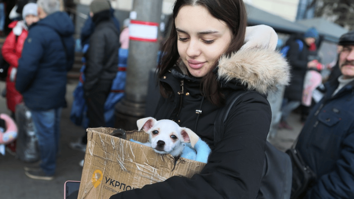 Скорочують виплати та вимагають працювати — зміни для українських біженців до ЄС