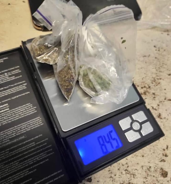 Вилучені наркотики. Фото: Південне регіональне управління Держприкордонслужби України 