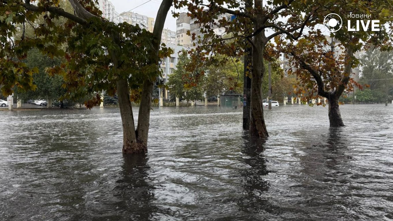 В Одесі вирує негода, рух дорогами ускладнено