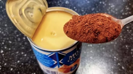 Збийте згущене молоко з какао — десерт без випічки за 1 хвилину - 285x160