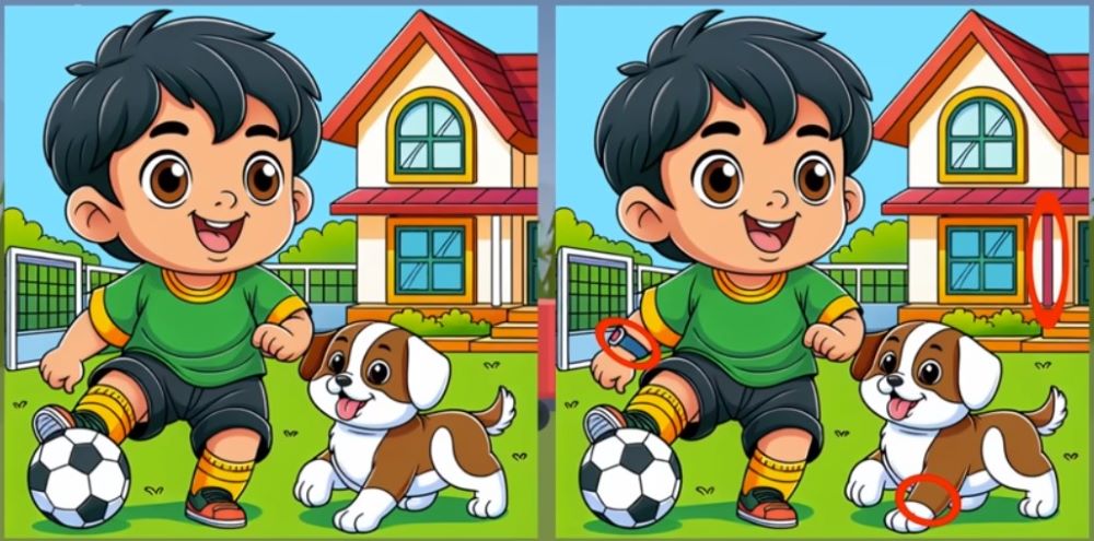 Три відмінності за 12 секунд — весела головоломка для всієї родини - фото 2