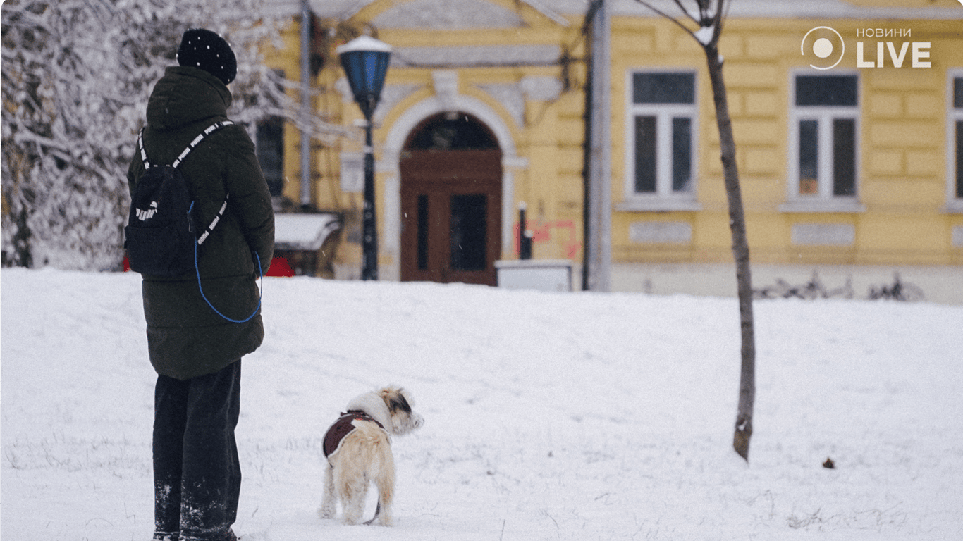 Погода в Украине 1 января — прогноз Диденко.