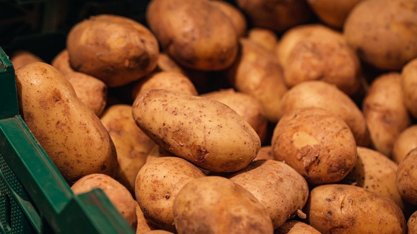 Что будет, если съесть сморщенную картошку и можно ли ей отравиться
