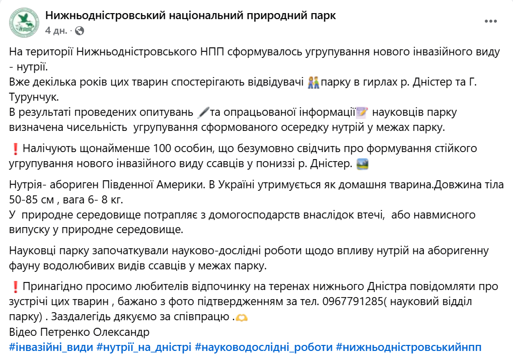 На Одещині у національному парку оселились інвазивний вид нутрій - фото 1
