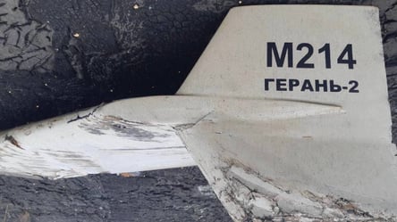 Ночная атака на Одесчину: сколько уничтожено дронов - 285x160