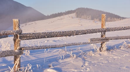 Смена собственника земли — нужно ли уведомлять арендатора - 285x160
