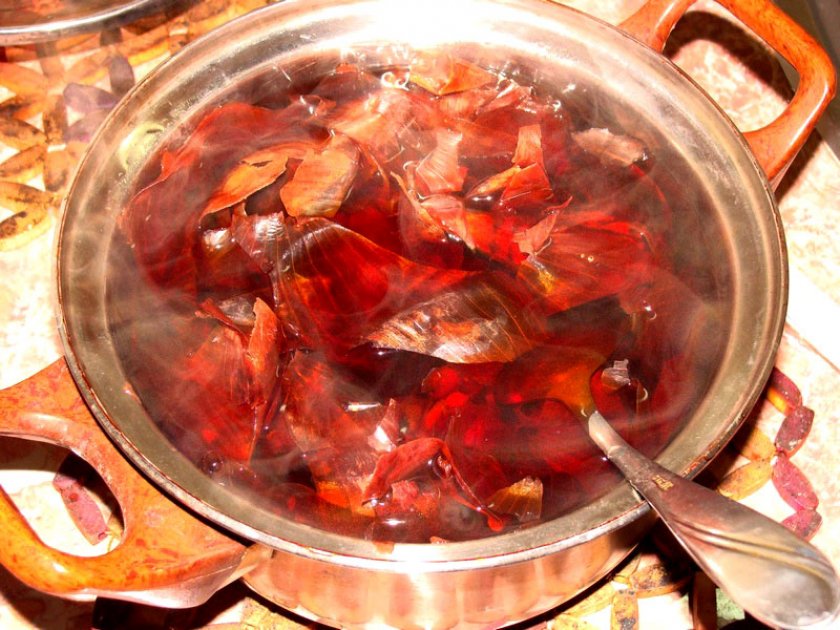 Як можна використовувати добриво з цибулі