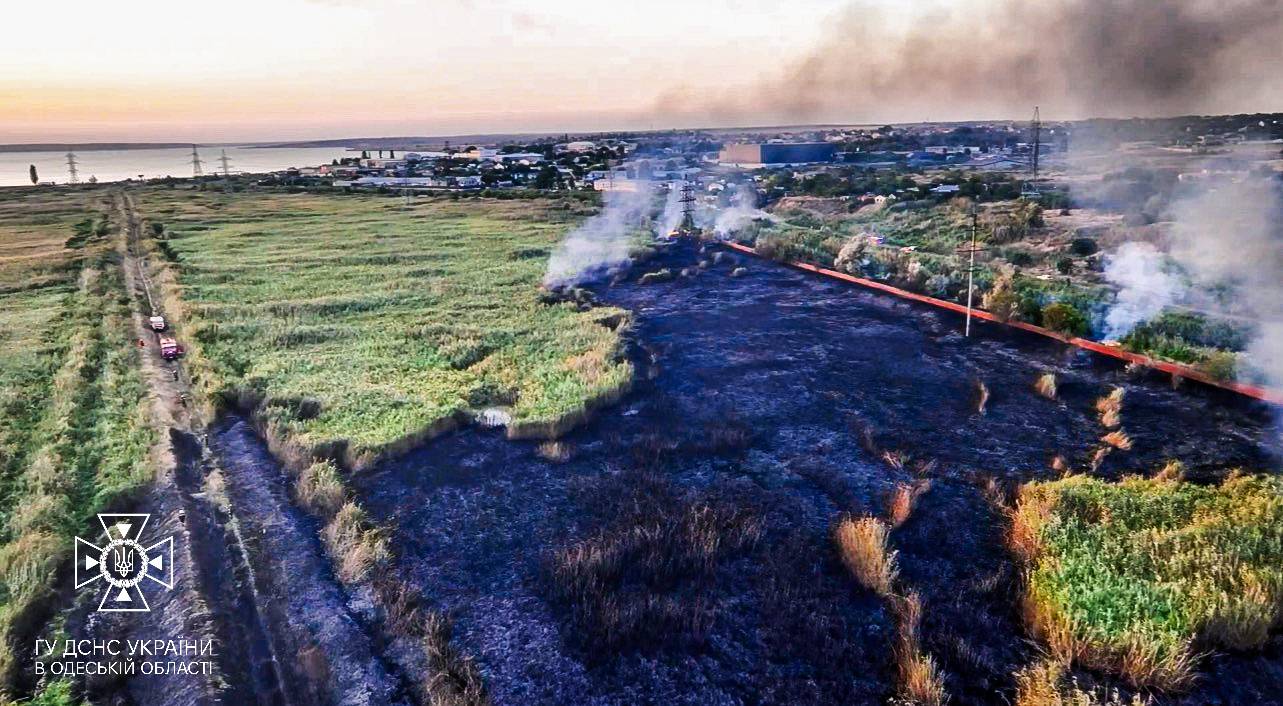 Знищене поле в Одеській області. Фото: ДСНС