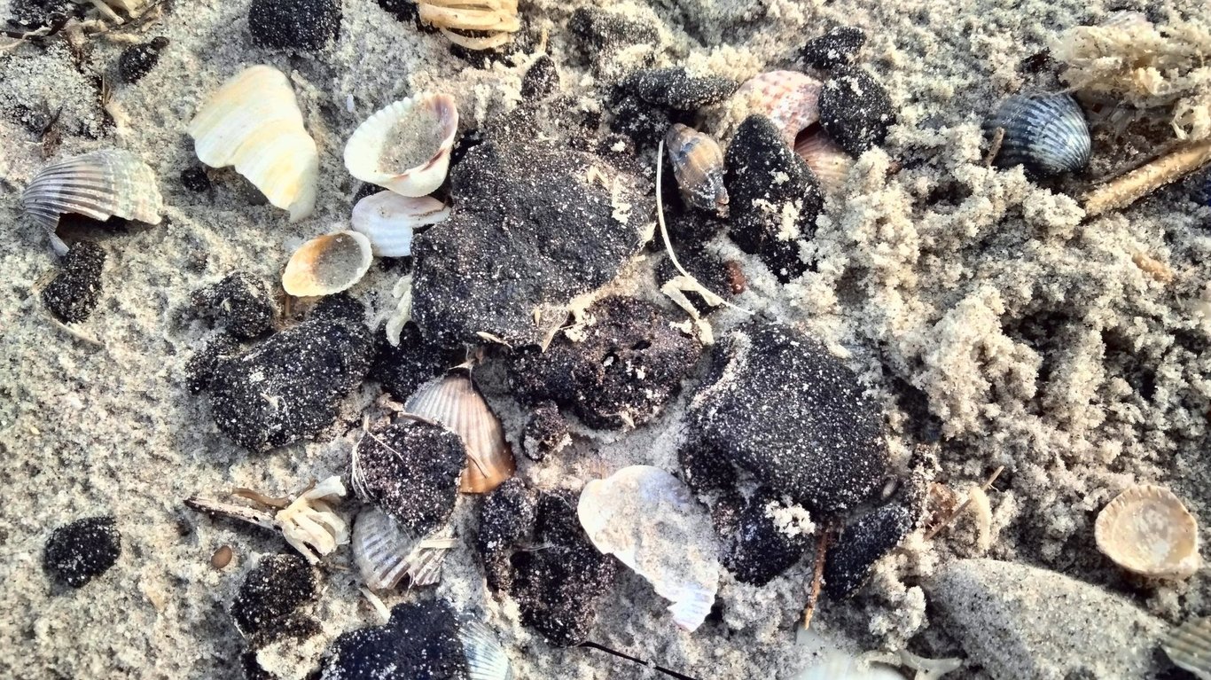 Пляжний сезон в Одесі під загрозою — екологи - фото 4