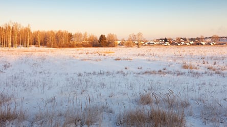 Арендная плата за пай пропавшего без вести — как получить деньги жене - 285x160