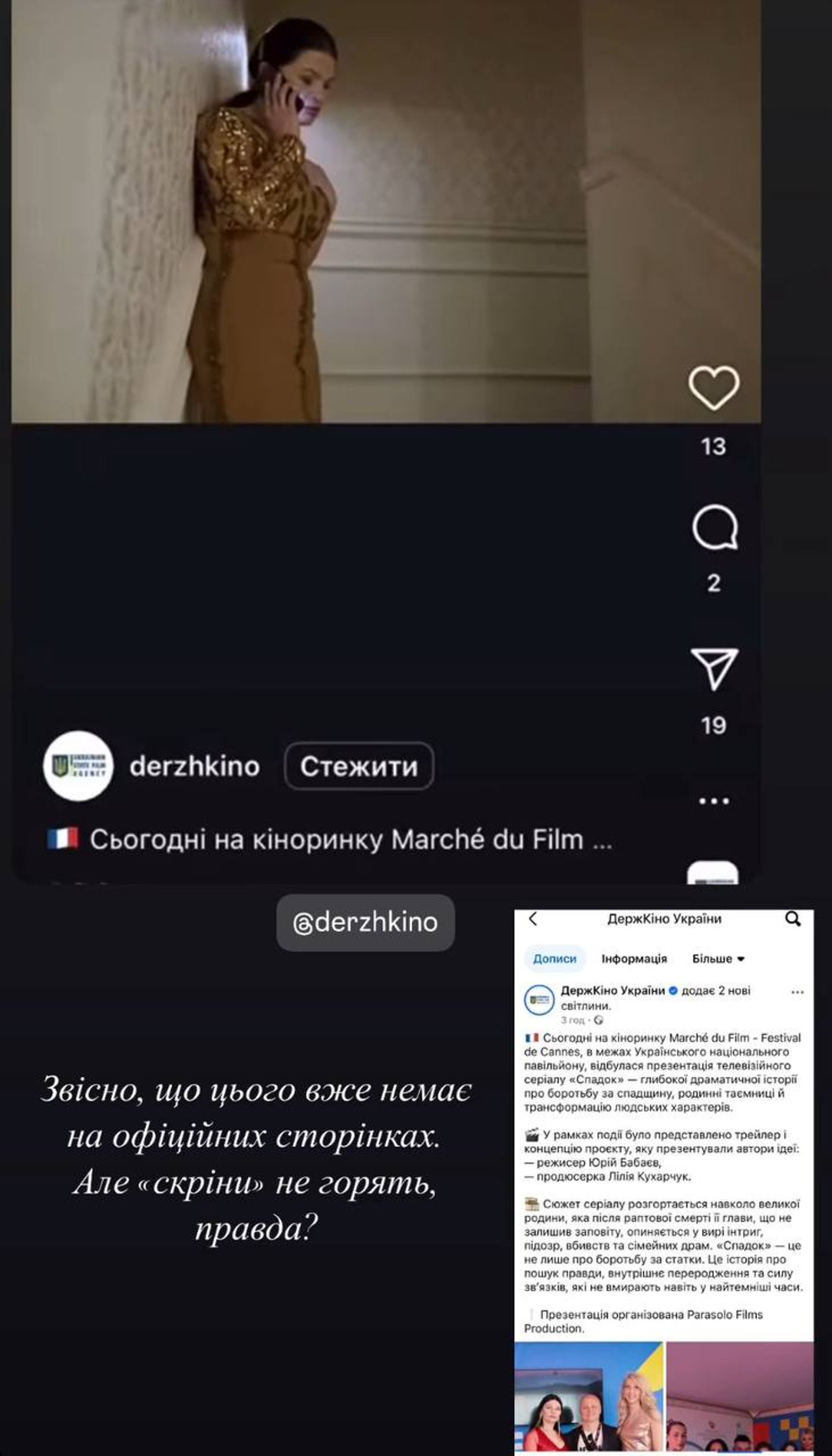 Антоніна Хижняк розкритикувала серіал Спадок - фото