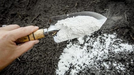 Не поспішайте з цим добривом взимку — ґрунт постраждає - 285x160