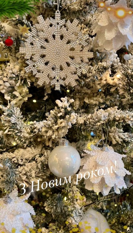 Софія Ротару привітала з Новим роком