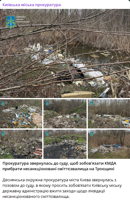 Стихійне сміттєзвалище на Троєщині — на КМДА подали до суду - фото 1