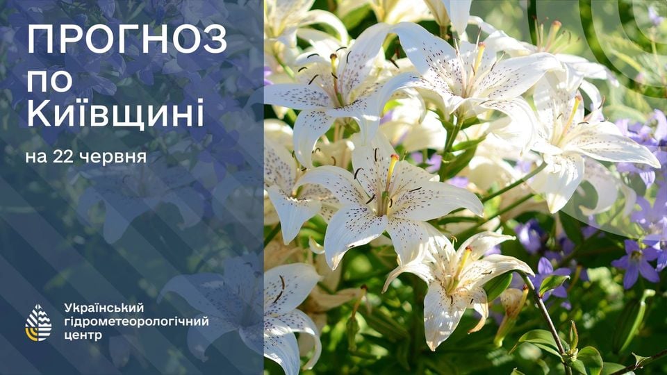 Прогноз погоди на 22 червня. Фото: Укргідрометцентр