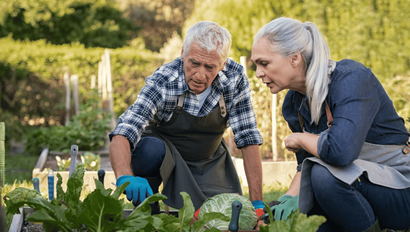 Люди на огороде