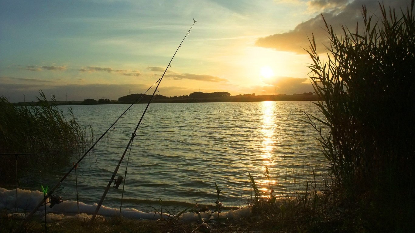 Де на Одещині забороняється ловити рибу