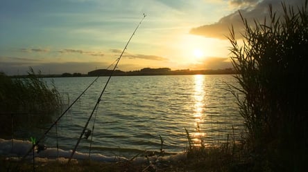 Законна рибалка: де на Одещині забороняється ловити рибу - 285x160