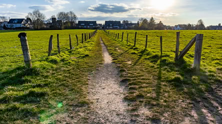 Паркан між сусідами — хто оплачує встановлення огорожі - 285x160