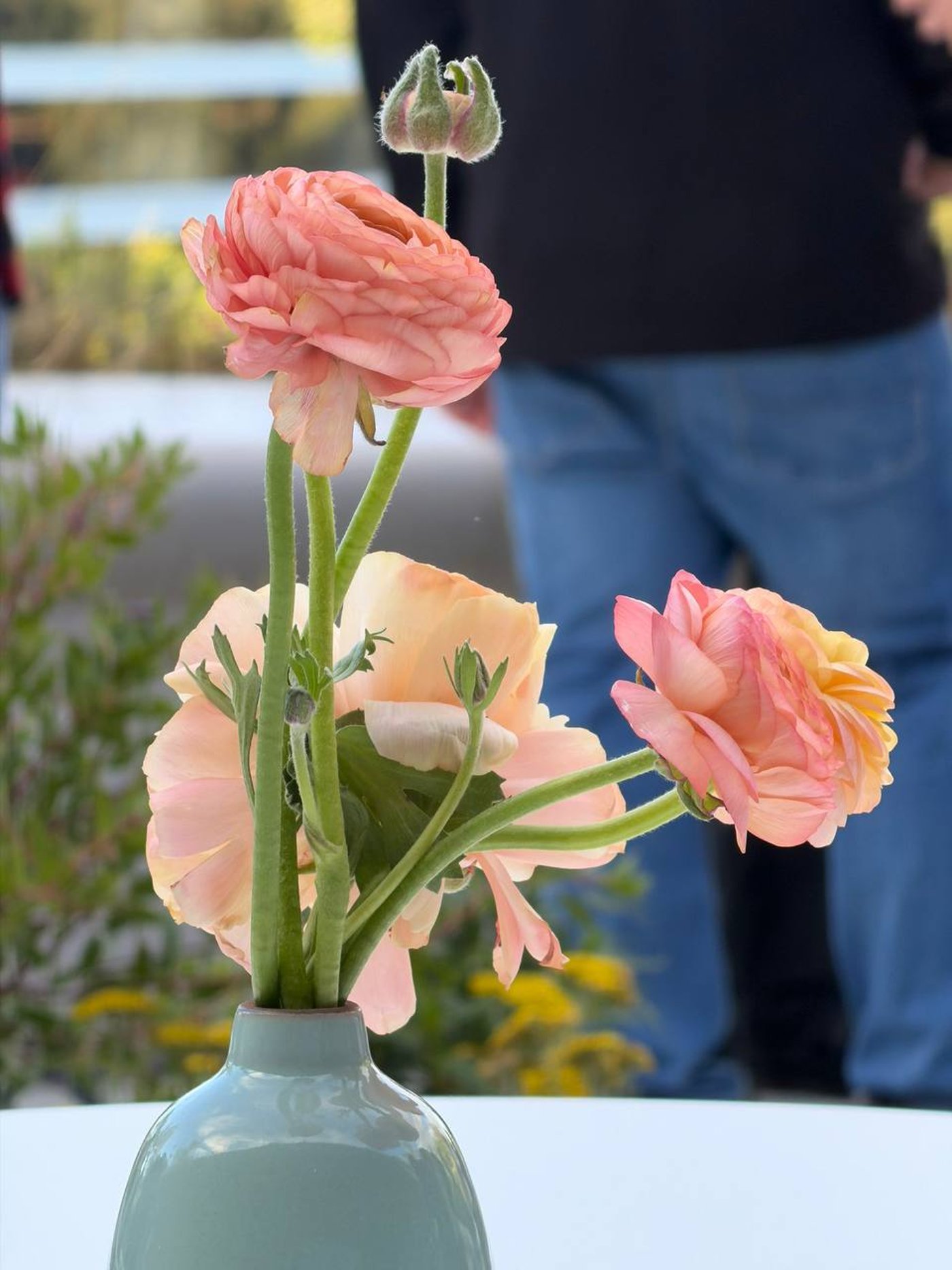 Фото з телеоб'єктиву iPhone 17 Pro