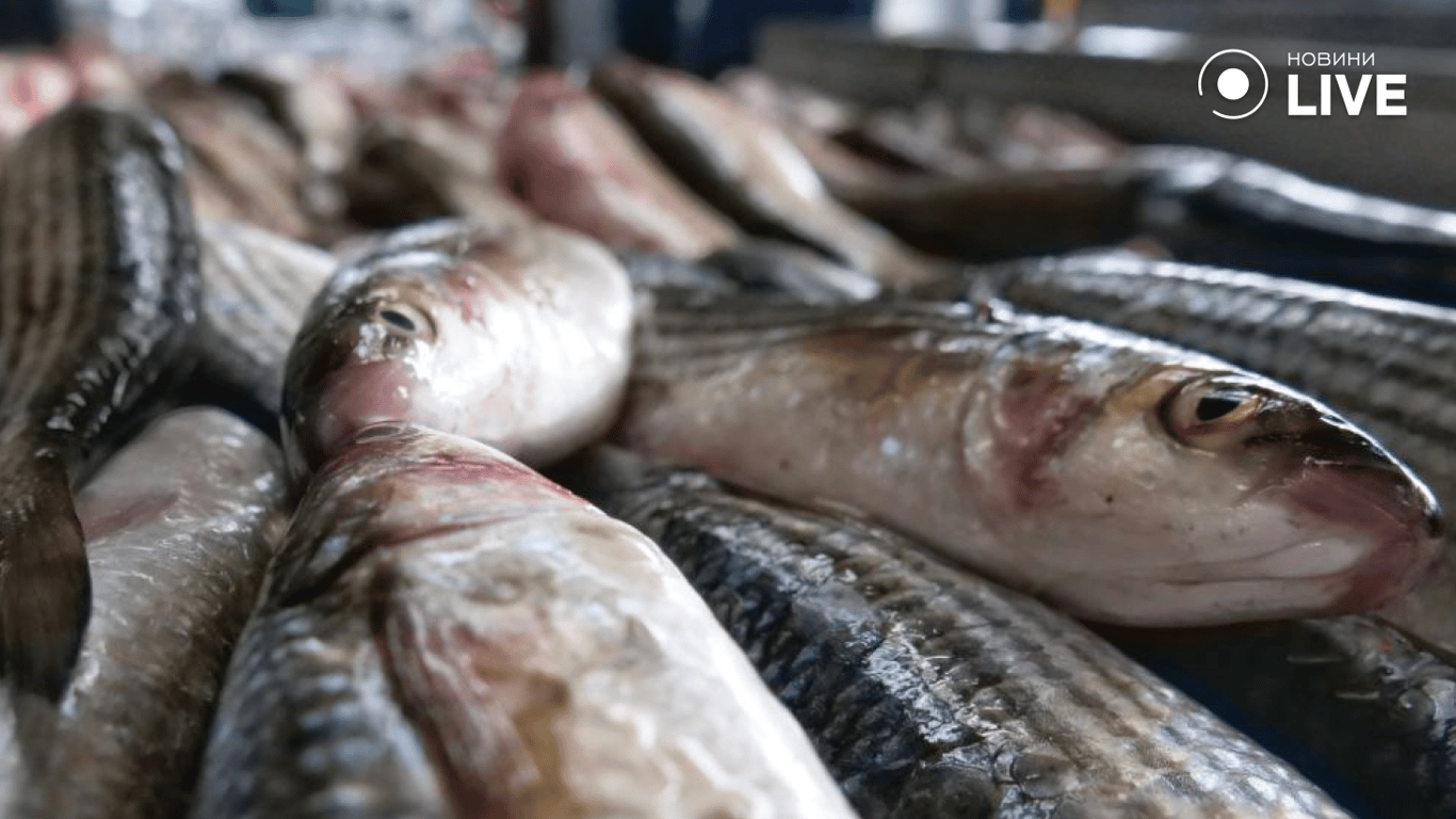 Від бюджетної риби до тепличних овочів - зимові ціни Привозу - фото 8