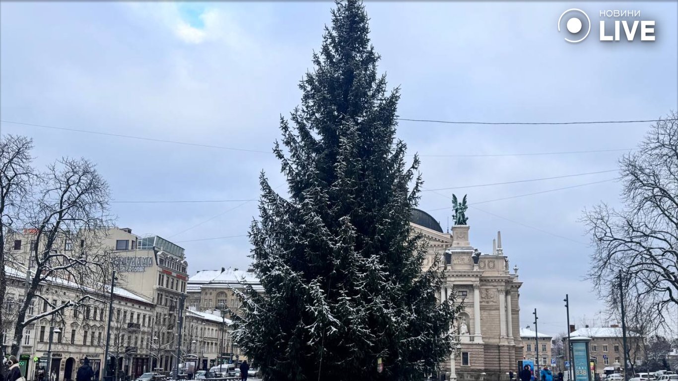 демонтаж ялинки у Львові