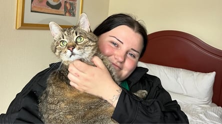 Кіт Степан привітав Alyona Alyona з успіхом на Євробаченні та зробив із нею фото - 285x160