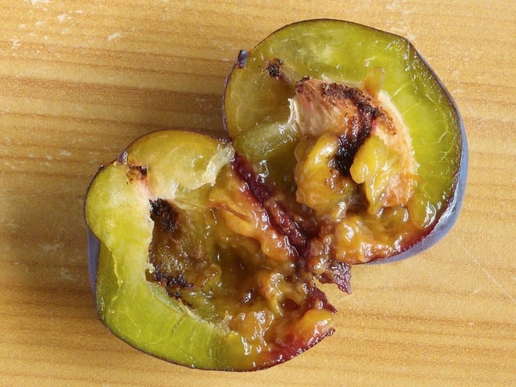 Червивая слива, разрезанная пополам