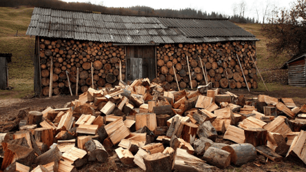 Где и как хранить дрова до следующего отопительного сезона в Украине - 285x160