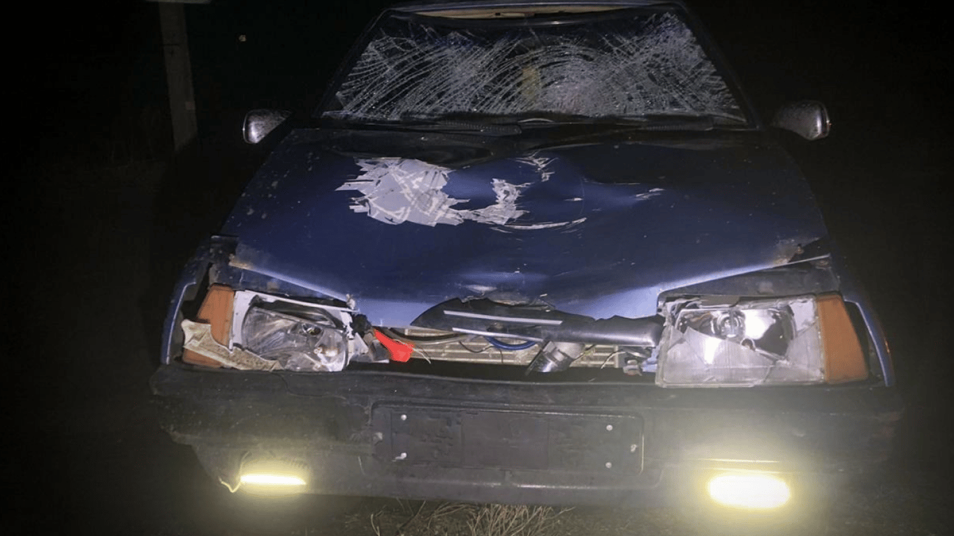 Смертельна аварія на Одещині — п’яний водій збив двох жінок