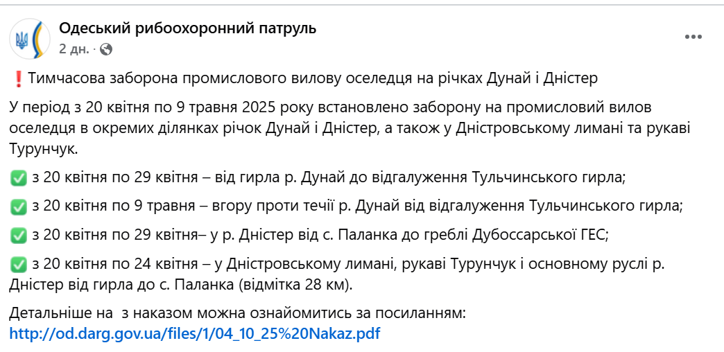 На Одещині забороняють вилов оселедця — у чому причина - фото 1
