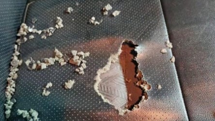 Щурі атакують росіян — автомобілі масово виходять з ладу - 290x166