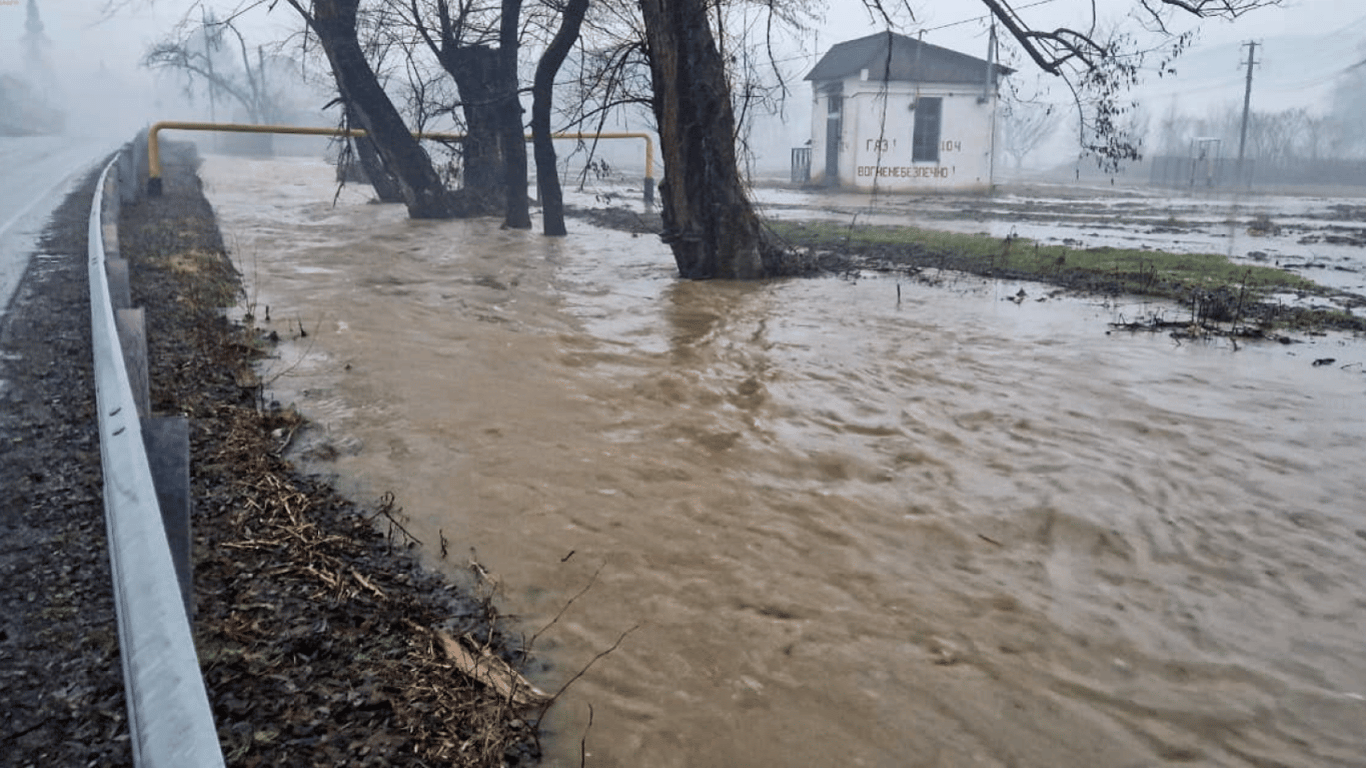 Наводнение на Закарпатье — в МВД показали последствия непогоды в регионе