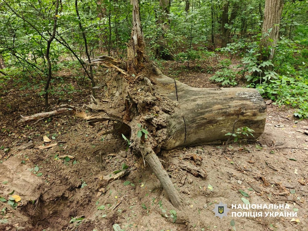  Поліцейські вибухотехніки підірвали касетний боєприпас, який знайшли у будинку