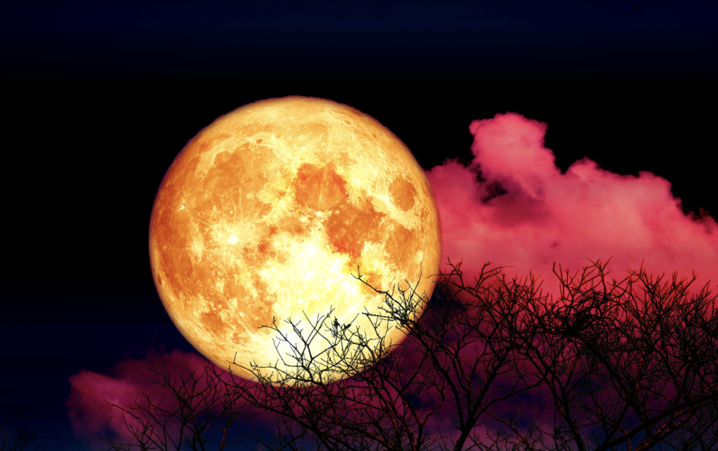 Почему полную Луну в октябре называют "Луной охотника"