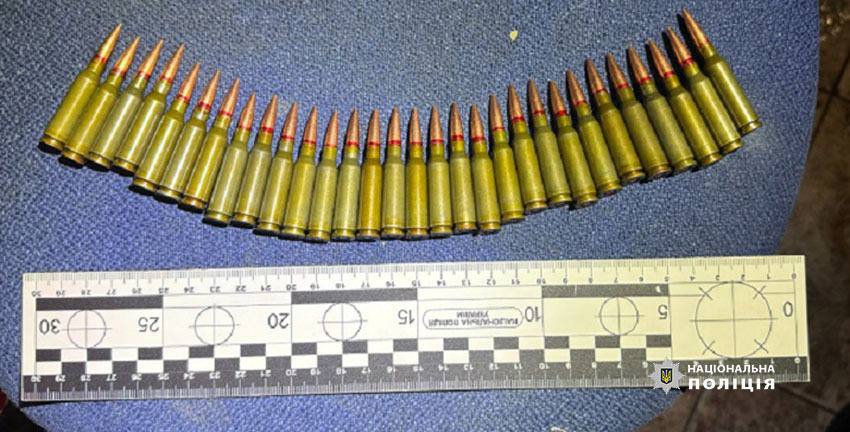 Вилучені під час обшуків боєприпаси