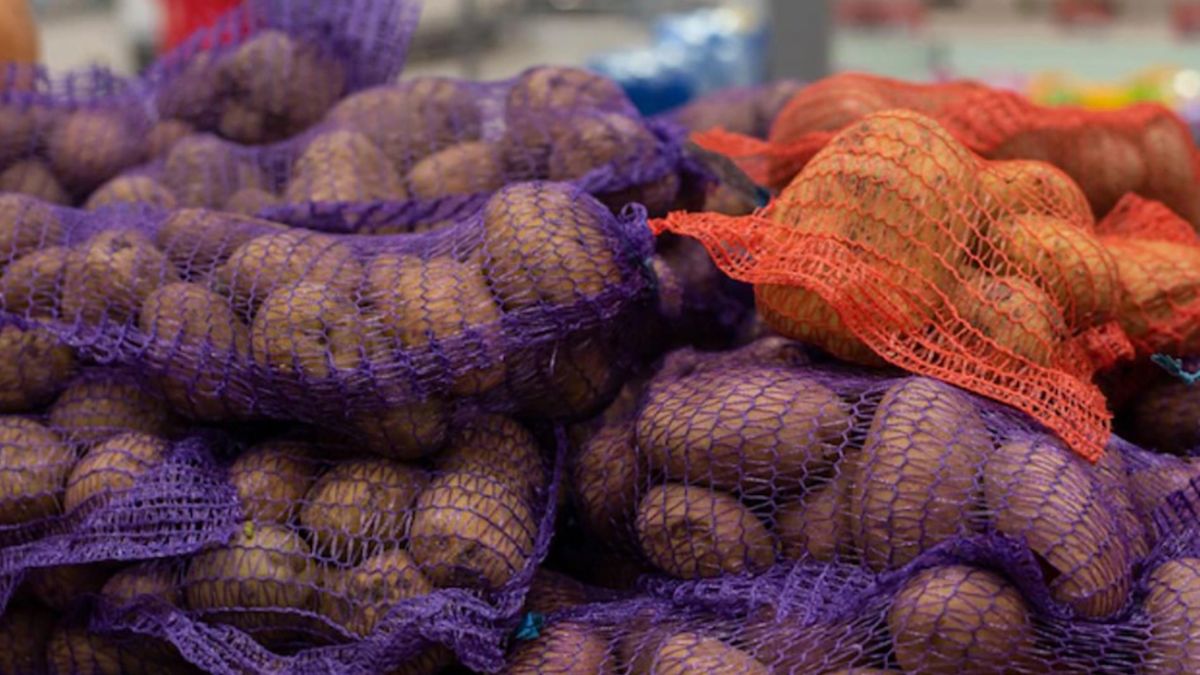 Хранение картошки